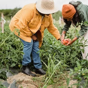 Breaking Down Barriers to Crop Insurance